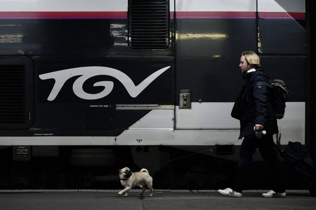 On vous dit tout sur le billet de train à prix fixe lancé par la SNCF pour vos chiens, chats et autres animaux domestiques