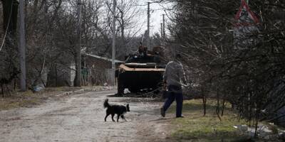 Pour Amnesty, l'invasion russe en Ukraine, une 