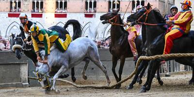 Sienne retrouve son Palio et son impressionnante course de chevaux après deux ans d'interruption