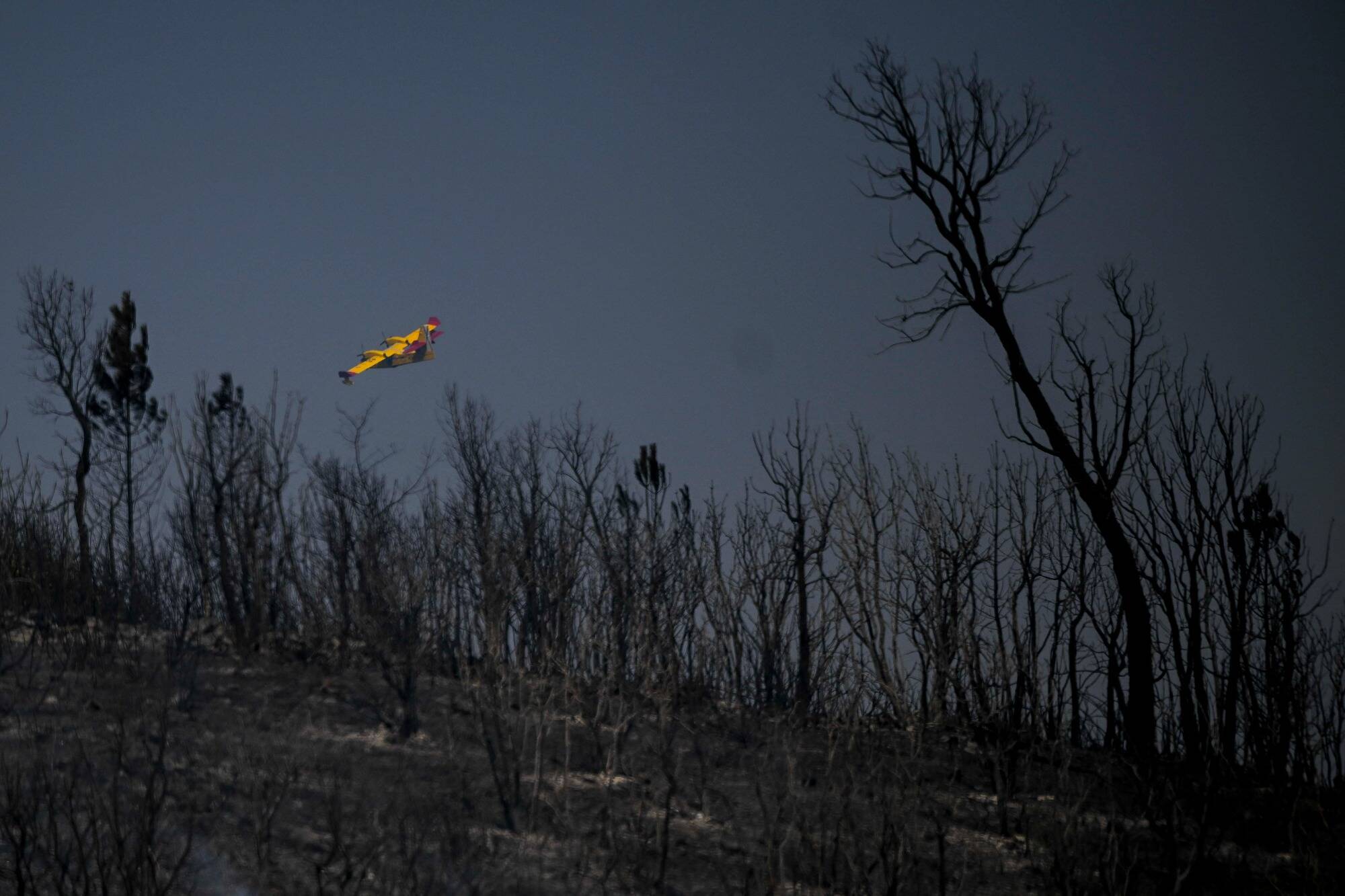 Le Portugal en proie à la canicule et aux feux de forêt