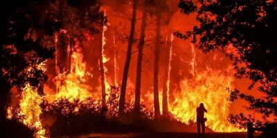 700.000 hectares de forêt ont brûlé cet été en Europe: ça représente quoi à l'échelle des Alpes-Maritimes?
