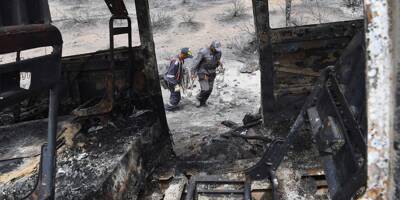 Incendies en Algérie: les images de dévastation du parc national d'El Kala parti en fumée