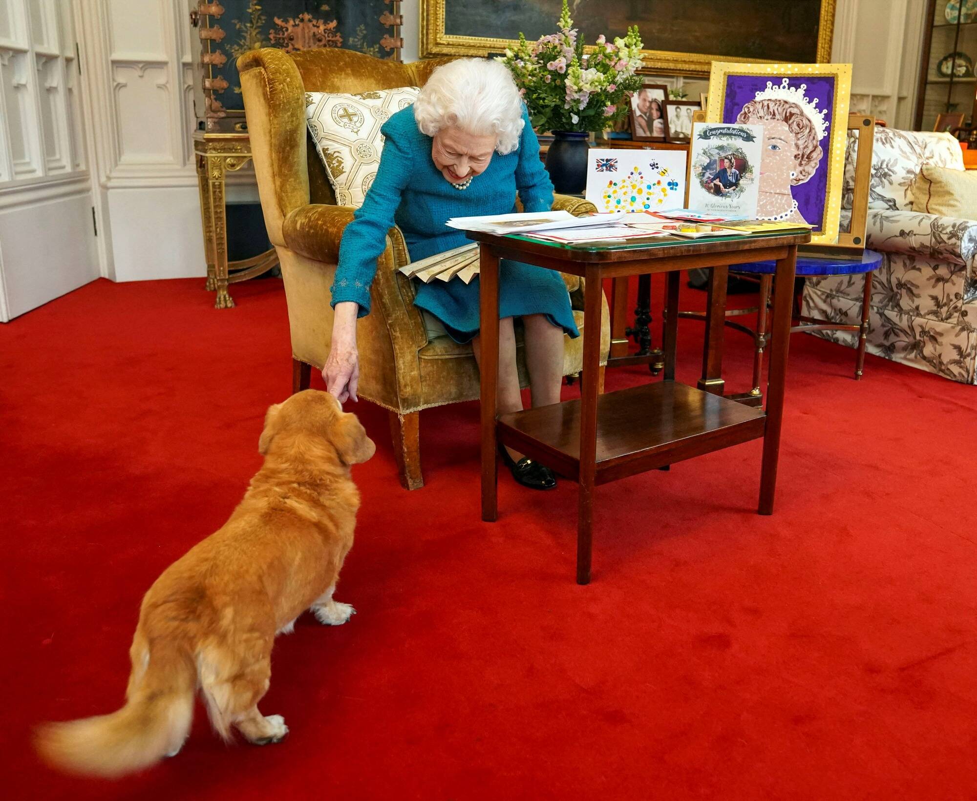 Orphelins, les fameux corgis d'Elizabeth II adoptés par son fils Andrew