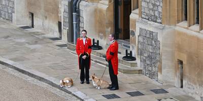 Funérailles d'Elizabeth II: Emma, le cheval de la reine ainsi que Muick et Sandy ses corgis ont pris part aux hommages à Windsor