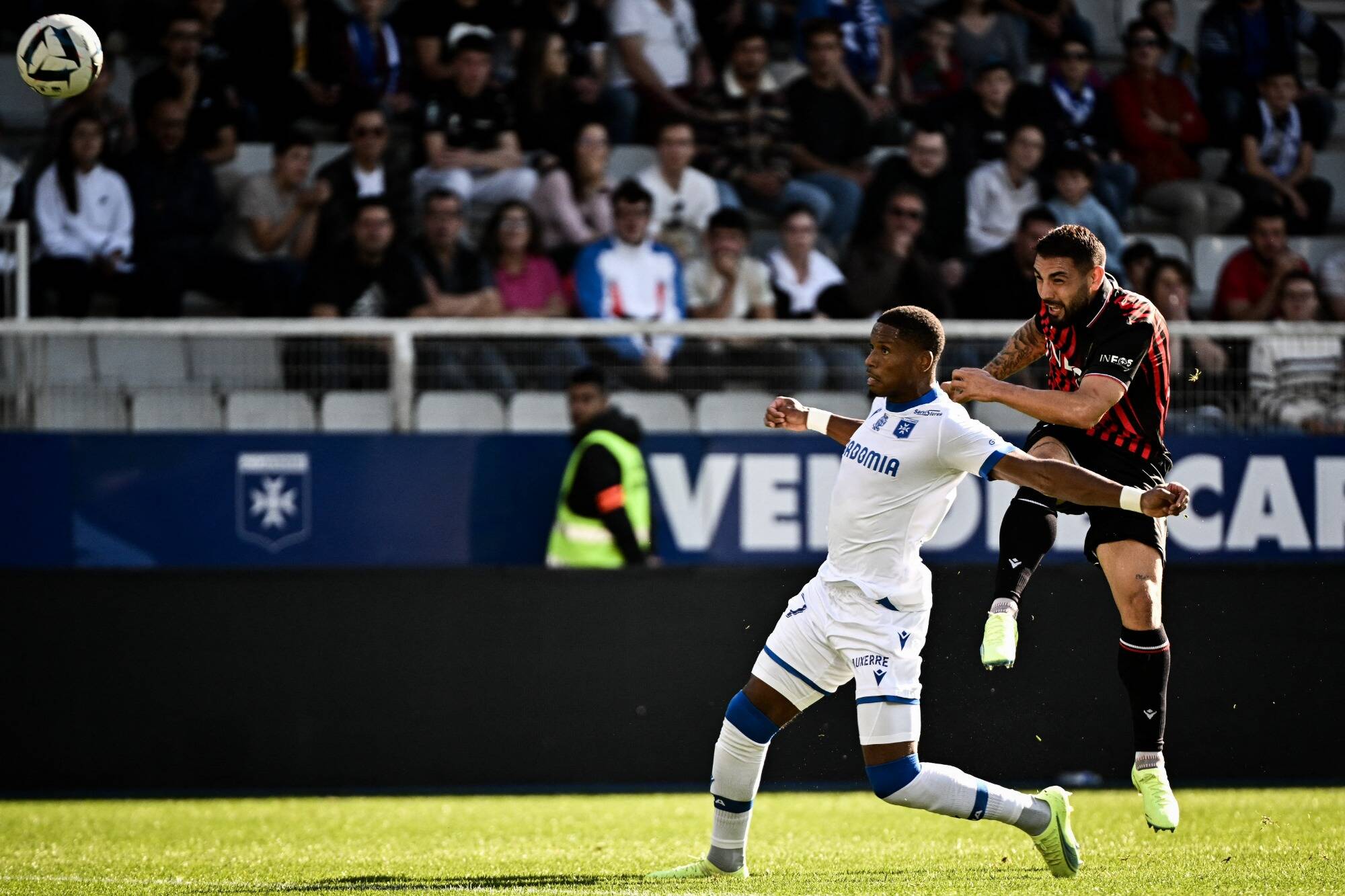 "Delort? Ce n'est pas trop grave", Lucien Favre rassurant après la blessure de l'attaquant de l'OGC Nice