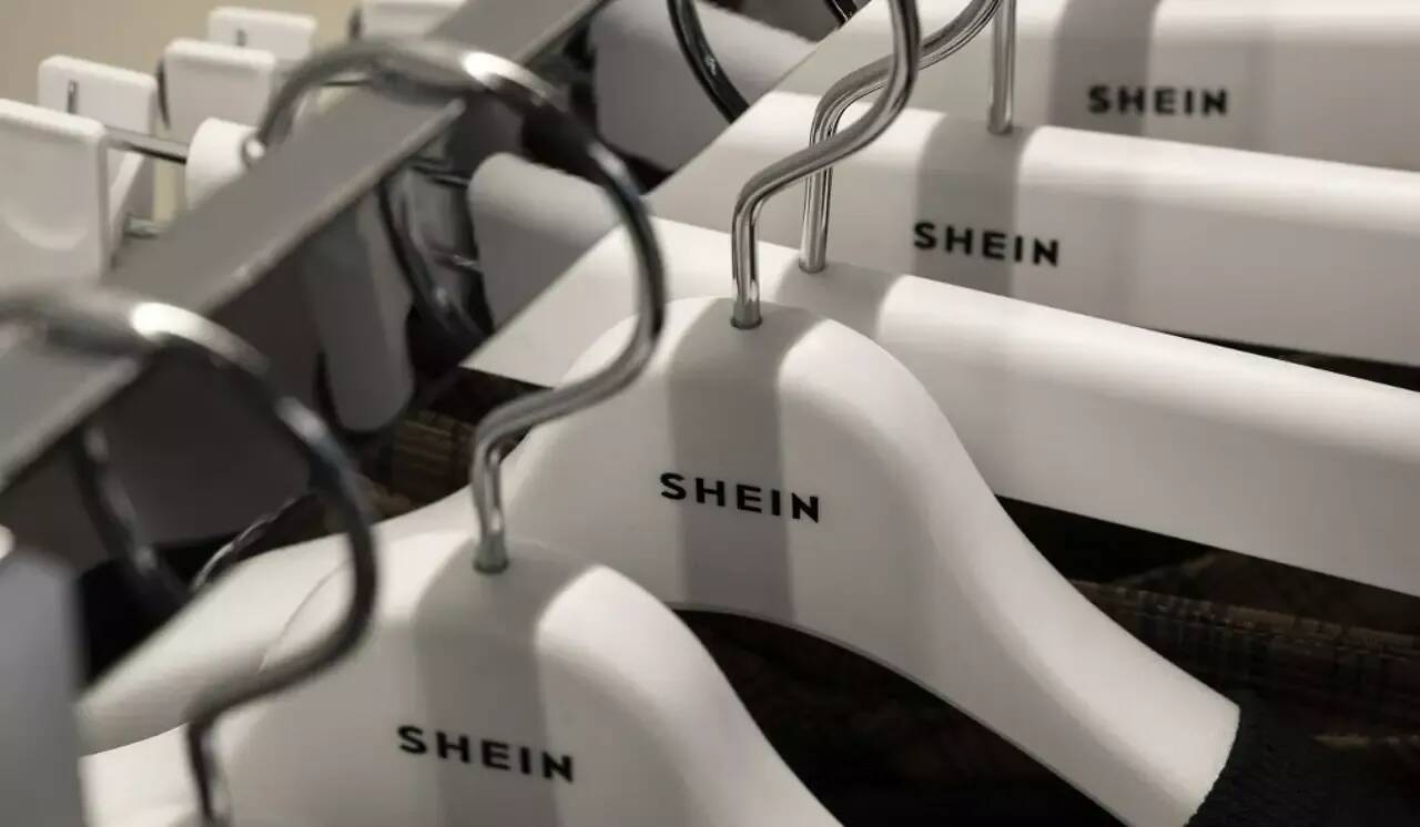 "Une question de budget": à Dijon, une boutique Shein attire la foule et les critiques