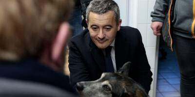 Lutte contre la maltraitance animale: Gérald Darmanin annonce la formation de 4.000 policiers et gendarmes