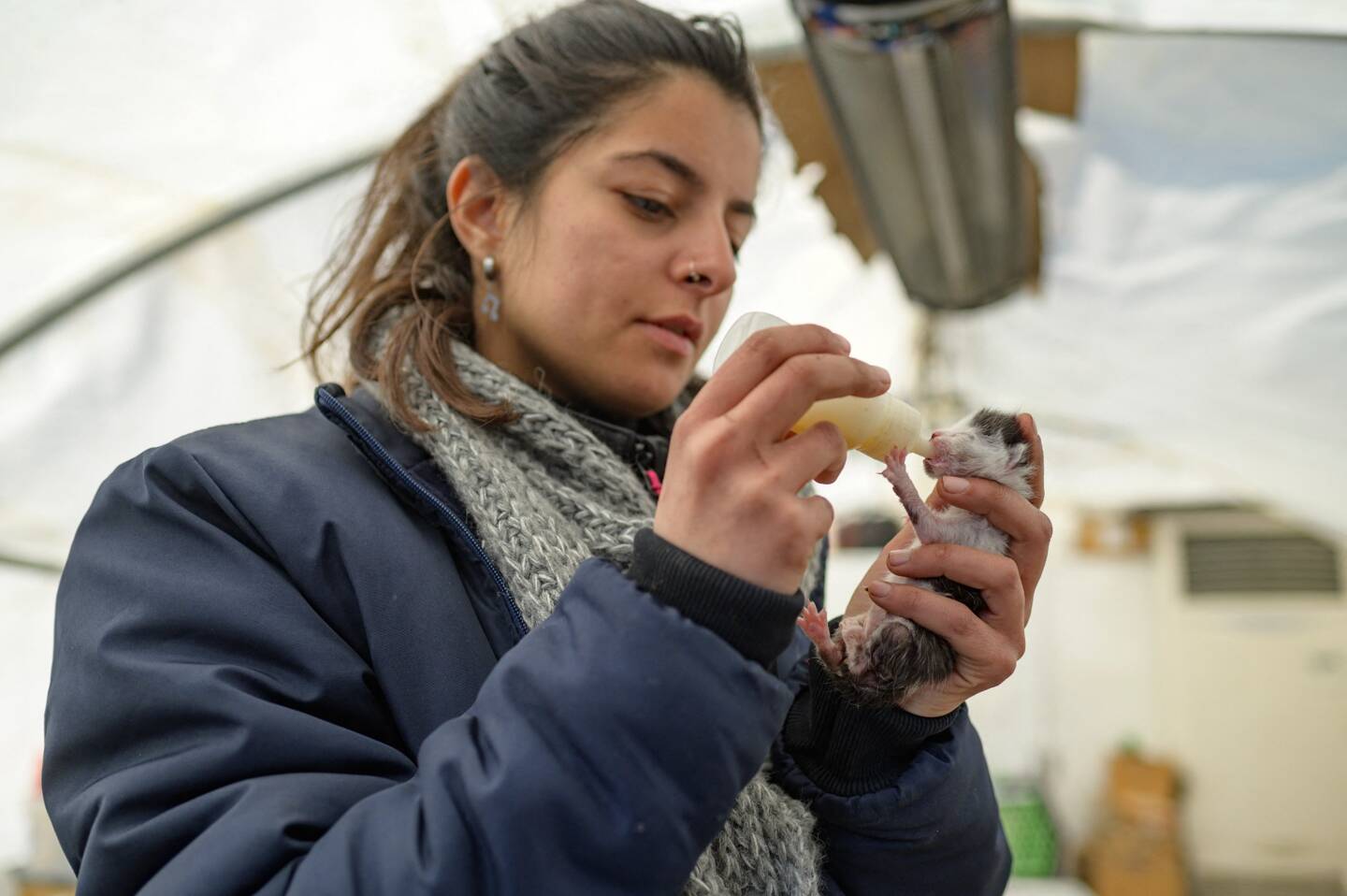 Haytap a ainsi délivré 900 chats, chiens, lapins, vaches ou encore oiseaux des ruines d'Antakya, souvent appelée par des propriétaires éplorés, incapables de récupérer leurs animaux dans leurs logis détruits.