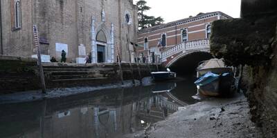 Vision étrange à Venise: des gondoles échouées à cause d'un phénomène de basses marées