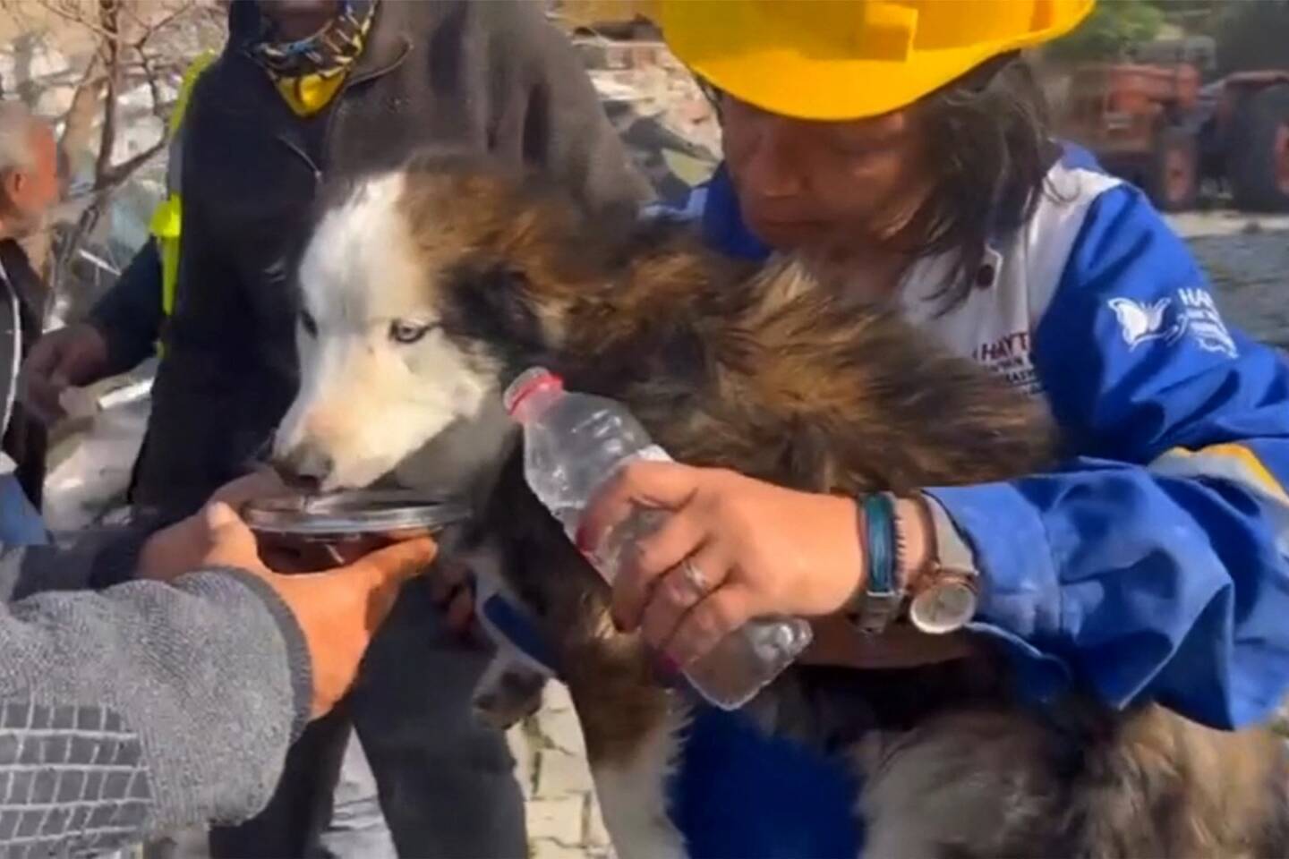 Le chien Aleks, un grand bâtard aux yeux clairs, a été extirpé des ruines d'Antakya 23 jours après le séisme qui a dévasté cette grande ville du sud de la Turquie, a rapporté jeudi la presse locale.