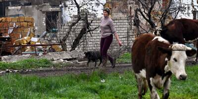 Guerre en Ukraine: avec le printemps, des fermiers risquent leur vie pour les semailles