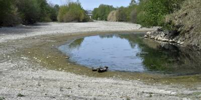 Pyrénées-Orientales: des sanctions pour les particuliers et les entreprises qui ne respectent pas les restrictions sécheresse
