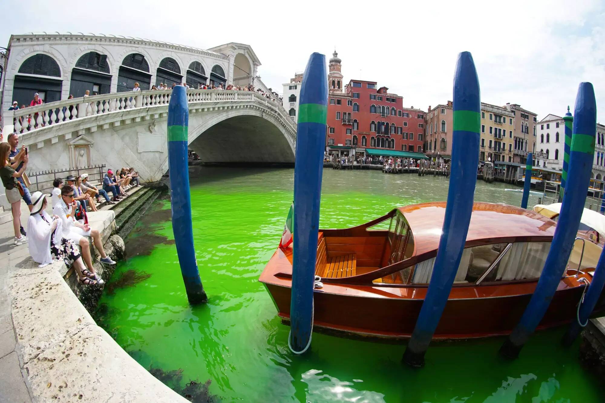 Des militants écologistes colorent en vert le Grand Canal de Venise pour protester contre l'"échec" de la COP28 sur le climat