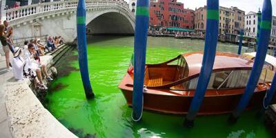 Des militants écologistes colorent en vert le Grand Canal de Venise pour protester contre l'