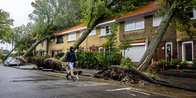 Une personne tuée, des vents jusqu'à 146 km/h, le chaos dans les transports... Les Pays-Bas en proie à la plus forte tempête estivale de leur histoire ce mercredi