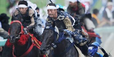 111 chevaux victimes d'insolation lors d'un festival traditionnel au Japon