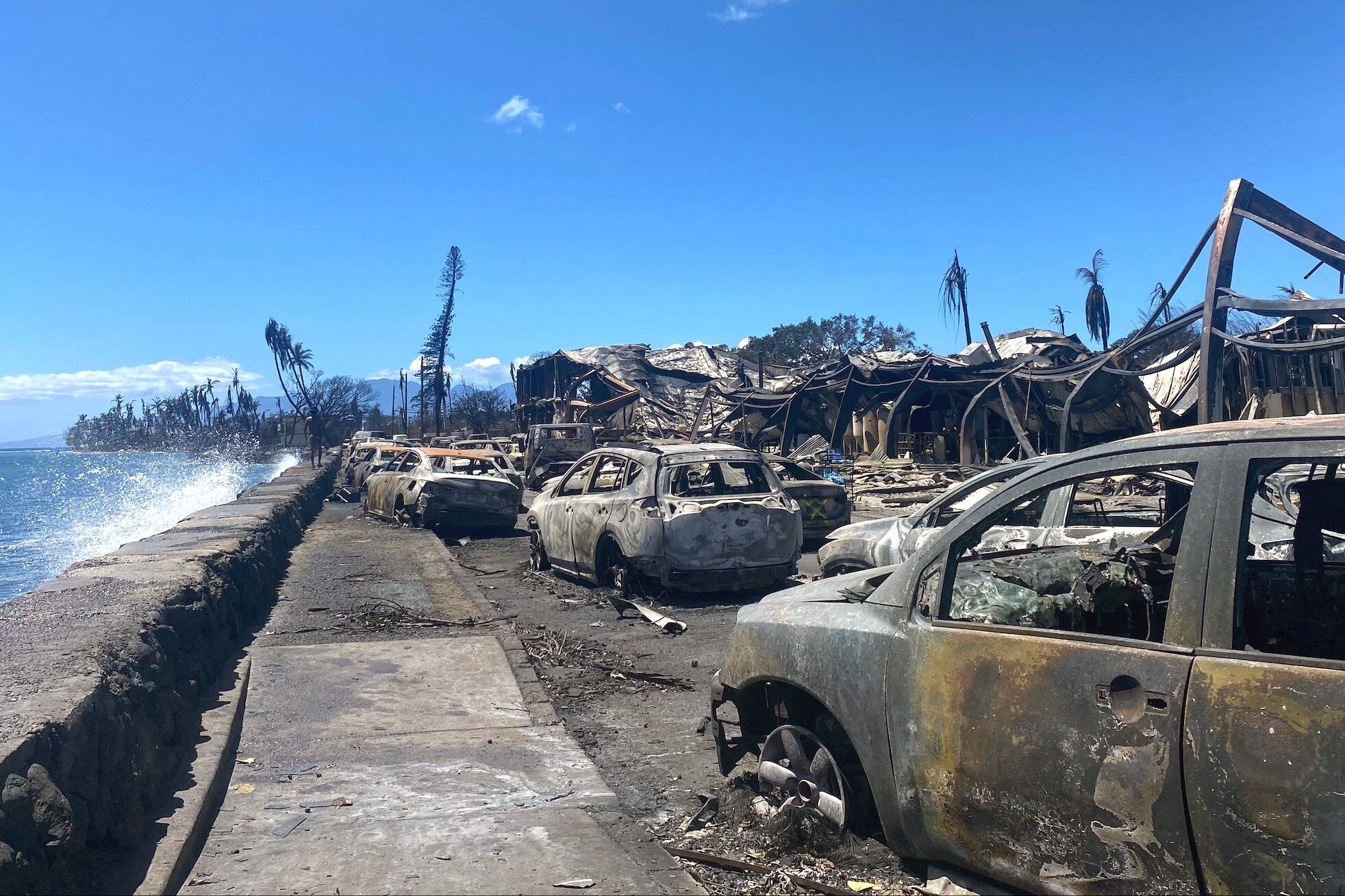 "Il n'y a plus rien": à Hawaï, les incendies ont fait 67 morts et les habitants de Lahaina retrouvent l'ex-capitale en cendres