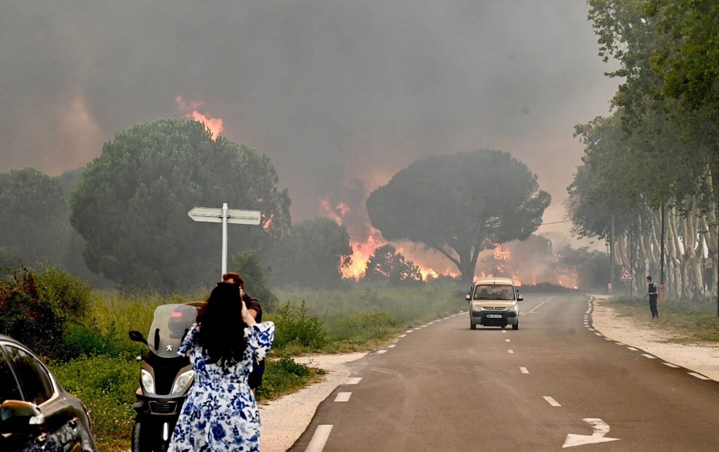 "Les villages de Saint André, Sorède, et la ville d'Argelès sont menacés", ont indiqué les pompiers. 