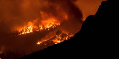 Les impressionnantes images du feu de forêt totalement 