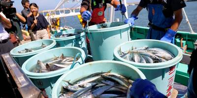 Rejet de l'eau de Fukushima: des pêcheurs portent plainte contre l'Etat japonais