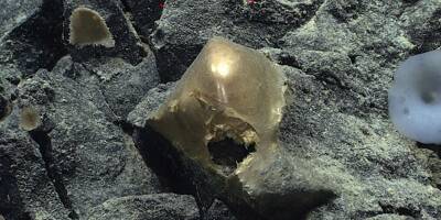 Un mystérieux objet doré trouvé au fond de l'océan près de l'Alaska