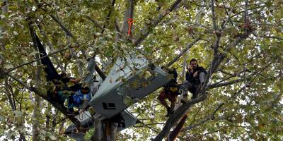 Autoroute Toulouse-Castres: l'opposant Thomas Brail a été délogé de son arbre face au ministère de la Transition écologique