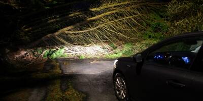 Tempête Ciaran: un chauffeur tué après la chute d'un arbre sur son poids lourd dans les Hauts-de-France