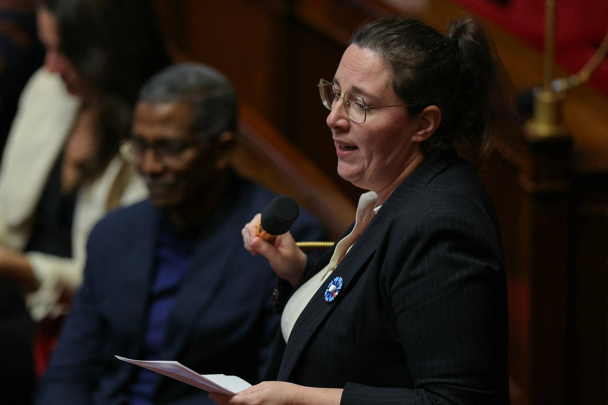 "Tu seras tondue à la Libération": insultée par un député Renaissance à l'Assemblée, une élue écologiste réclame des sanctions