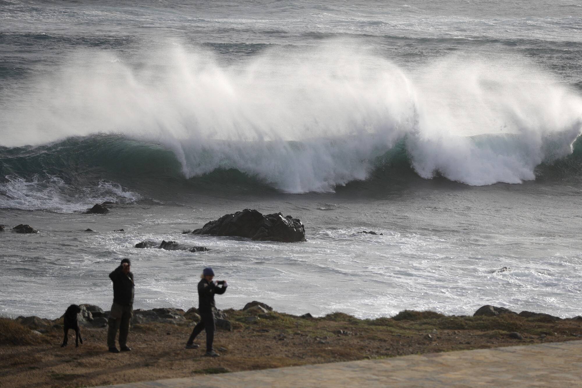 Importantes précipitations et rafales à plus de 130 km/h: la tempête Floris arrive, la Côte d'Azur sera-t-elle concernée?