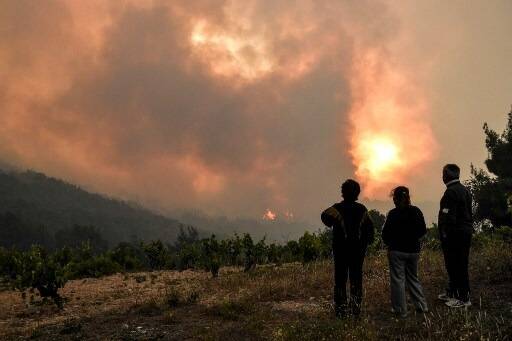 En Grèce, un feu de forêt menace une grande oliveraie dans le centre du pays