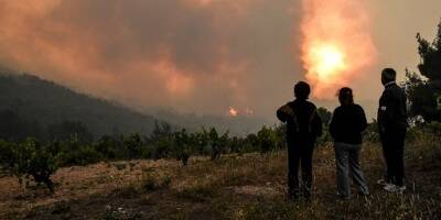 Grèce, Algérie, Sibérie... On fait le point sur les incendies qui ravagent plusieurs régions du monde