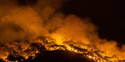 Villages évacués, températures caniculaires, forêts dévastées... Le Sud de l'Europe suffoque à cause des incendies