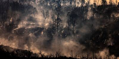 Records de canicule en Espagne, le Portugal espère une accalmie face aux incendies