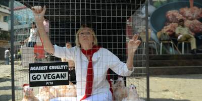 Ingrid Newkirk, militante de la cause animale lègue son foie à Emmanuel Macron à sa mort, il devra lui être envoyé 