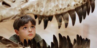 Découverte de la plus grosse dent d'un reptile géant préhistorique au Brésil