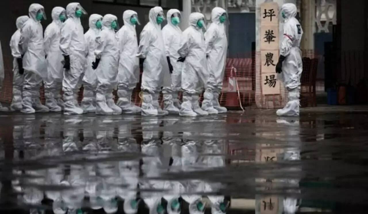 Covid-19: en Chine, les protestations se multiplient à Shanghai contre les confinements