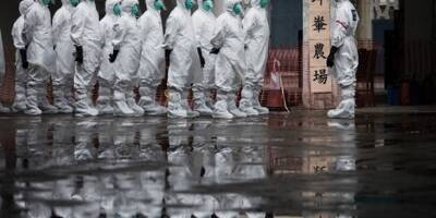 En Chine, un tout premier cas humain de grippe aviaire H10N3 découvert