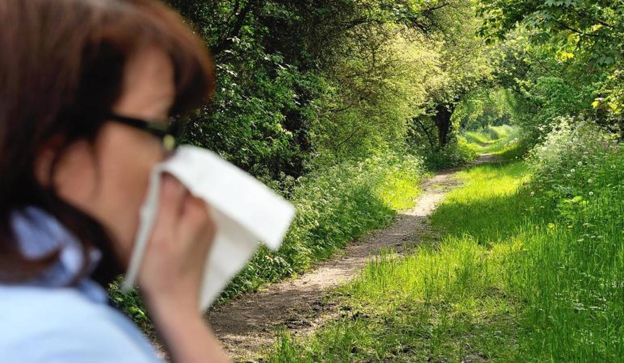 Toute la France est en alerte élevée sauf autour de la Méditerranée, qu'est-ce que les pollens de graminées?