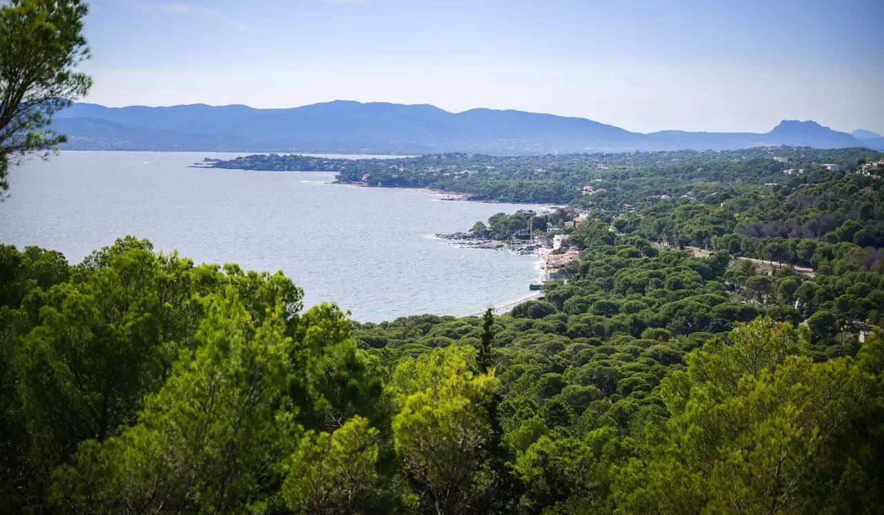 La vigilance jaune aux orages se poursuit dans les Alpes-Maritimes, ce qui vous attend ce vendredi