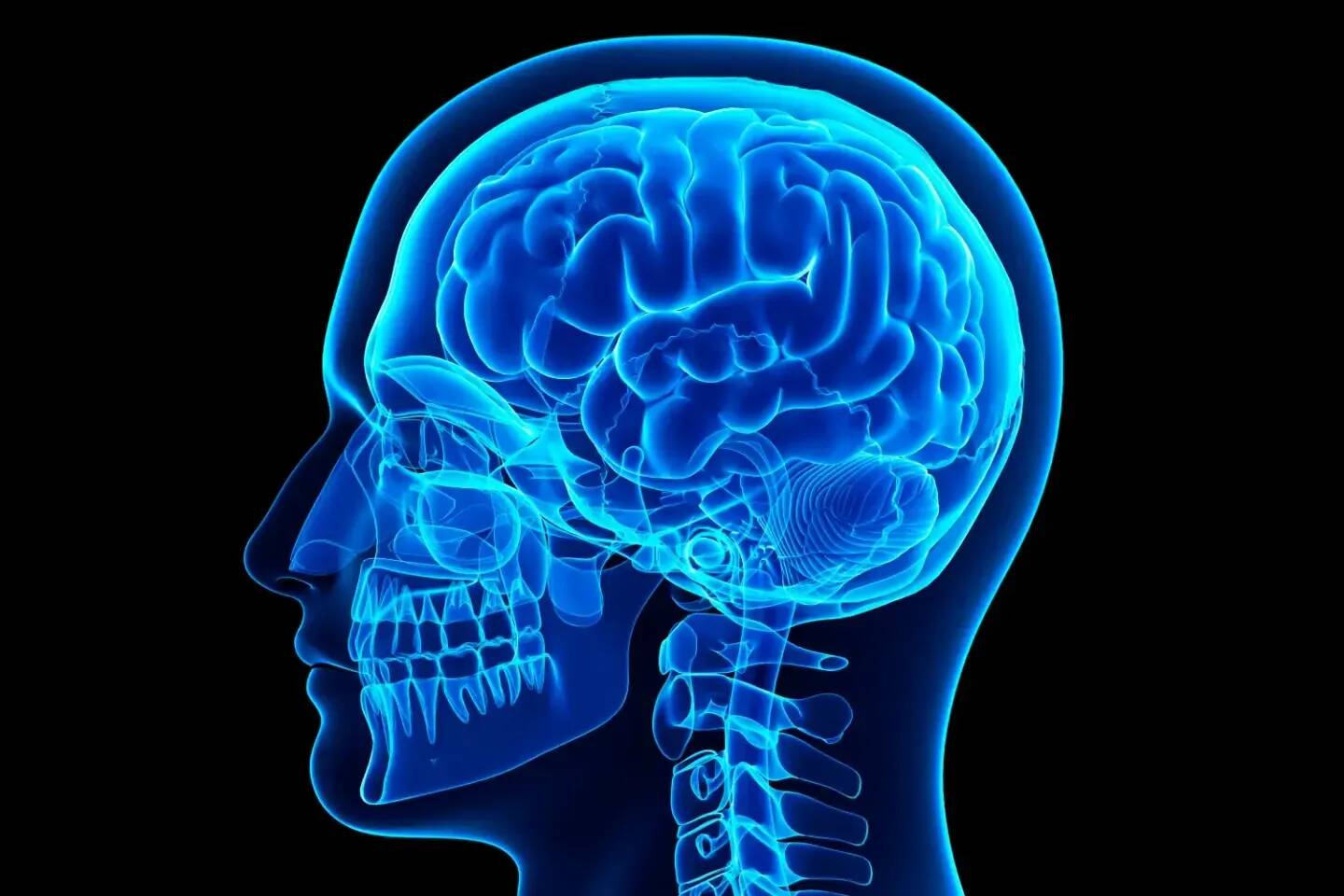 Des microplastiques sont présents dans notre cerveau à des niveaux alarmants selon une étude