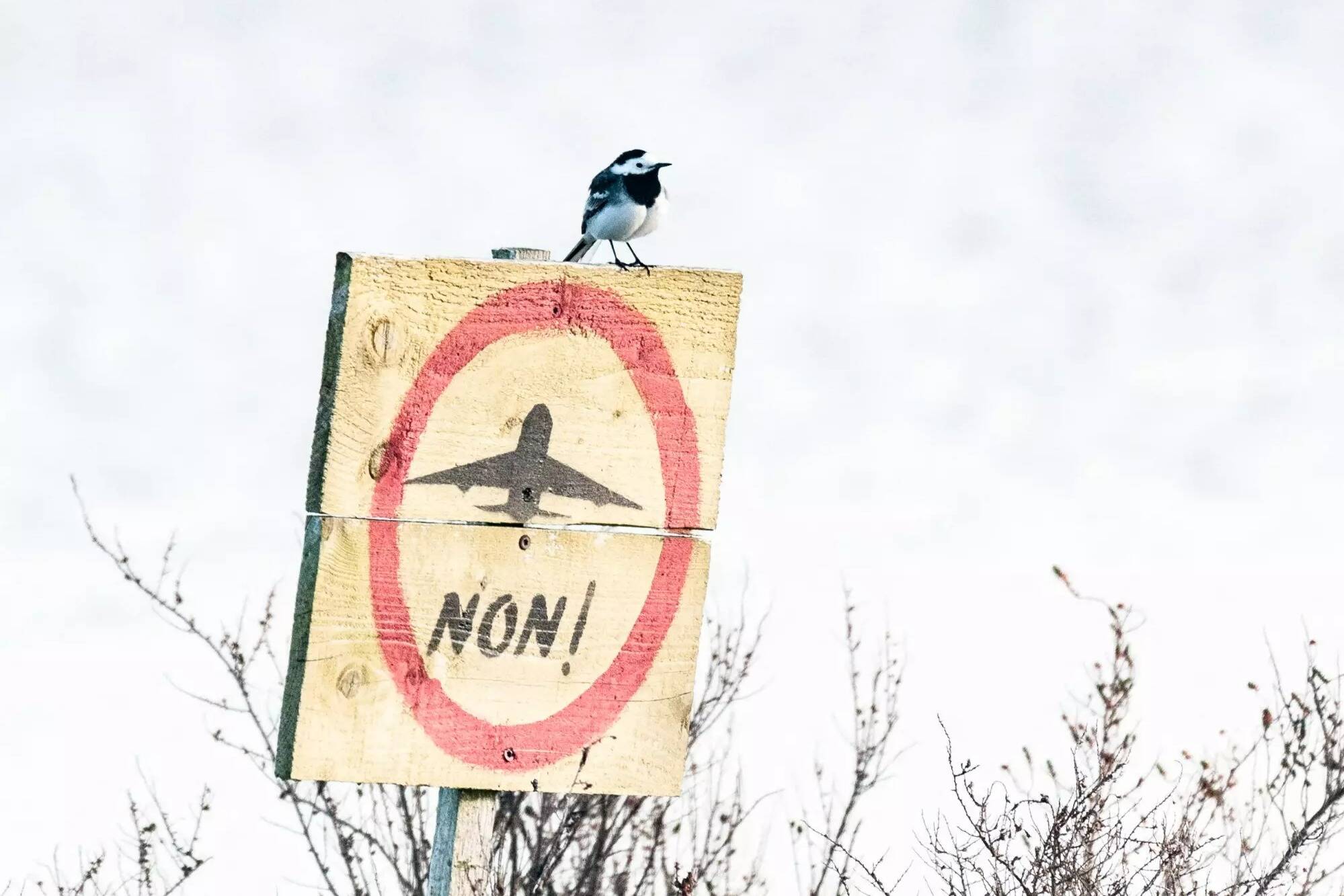 La justice déboute Vinci qui réclamait 1,6 milliard d'euros à l'État pour l'abandon de Notre-Dame-des-Landes