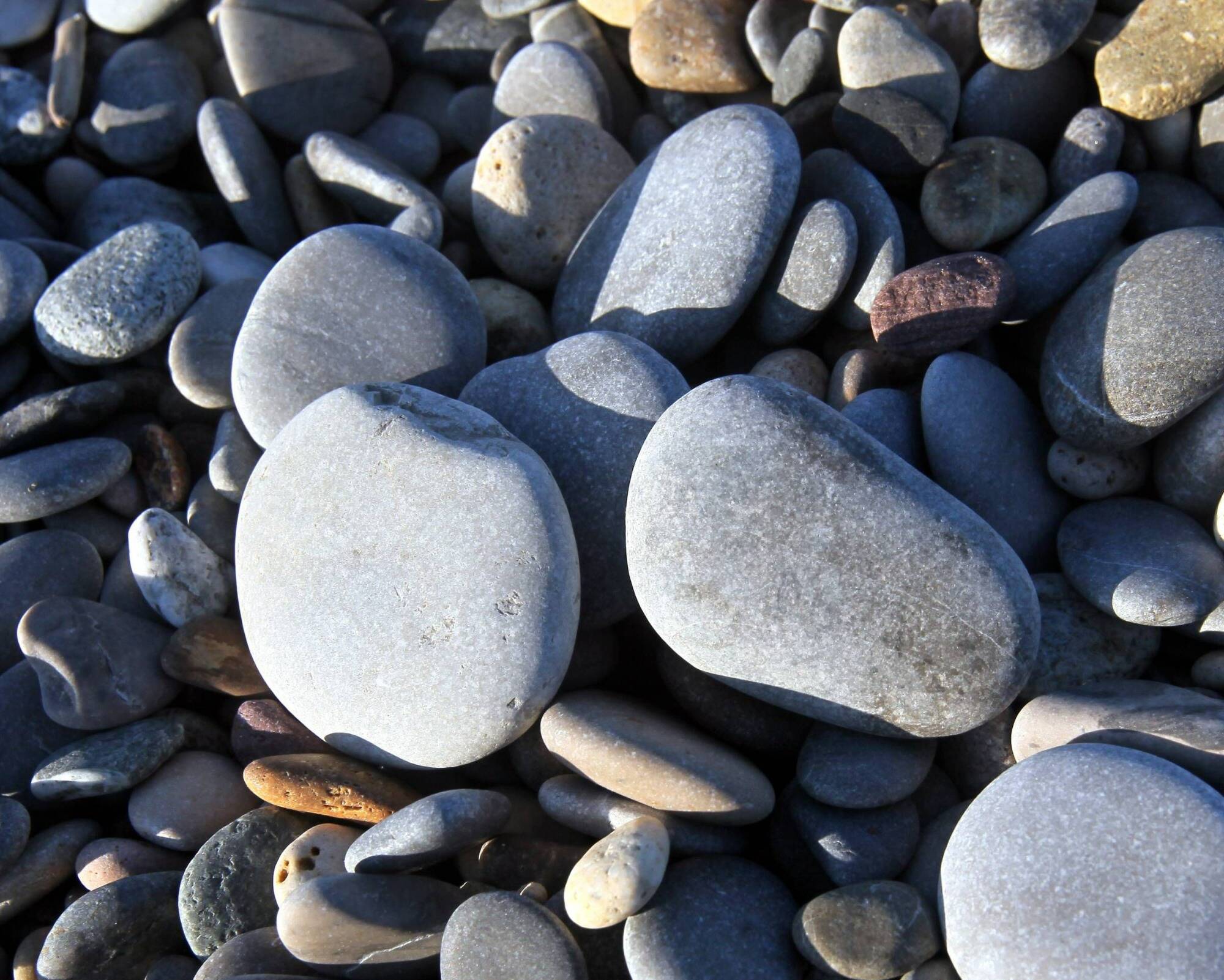 Pourquoi pendant nos vacances, il est interdit de rapporter chez nous des galets, des coquillages et ou du sable?