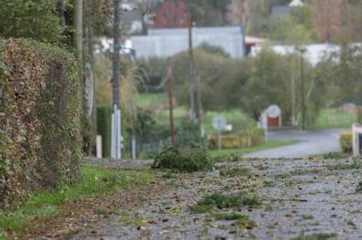 Tempête Ciaran: 1,2 million de foyers privés d'électricité, au moins un mort, le Var et les Alpes-Maritimes en alerte orange... notre direct