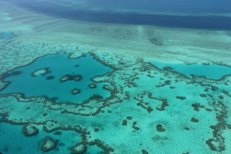 Grande Barrière de corail: la température de l'eau à son plus haut depuis 400 ans, selon une étude