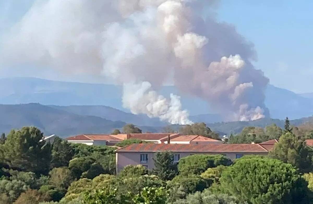 Le pneu d'un camion prend feu sur l'autoroute A8 à hauteur de Fréjus, l'incendie se propage à la forêt
