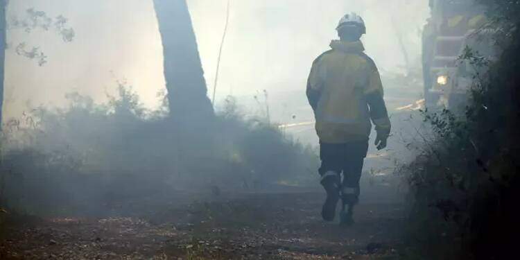 Au Canada, des feux de forêt conduisent à l'évacuation de 17.000 personnes