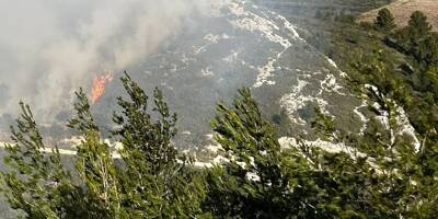 L'incendie dans le massif des Alpilles a ravagé plus de 100 hectares de végétation