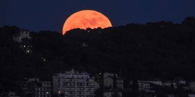 Les jolies images de la lune des fleurs ce lundi à Nice
