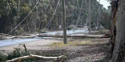 Australie: un mort et 285.000 foyers privés d'électricité en raison de tempêtes