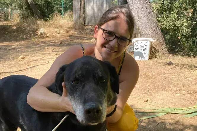 "Elle l'a laissée à quelques mètres de l'entrée!": les abandons de chiens en forte hausse cet été